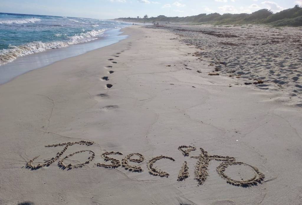 Agradecimiento a los Ángeles en Nuestro&nbsp;Camino