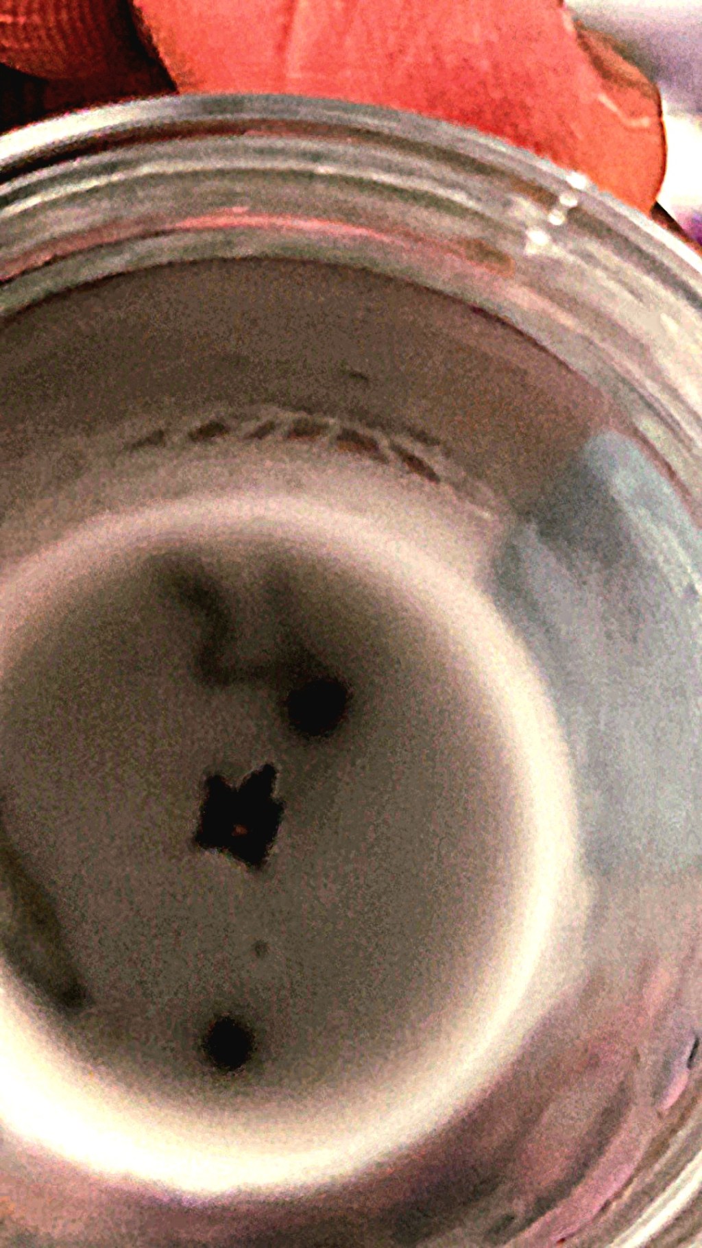 Las Muestras de Amor de nuestro hijo en el Día de celebración de dia de Muertos,&nbsp;México